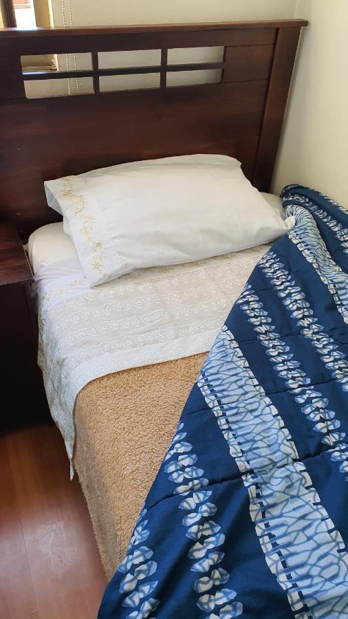 Metro Manuel Montt Apartment Santiago Ngoại thất bức ảnh