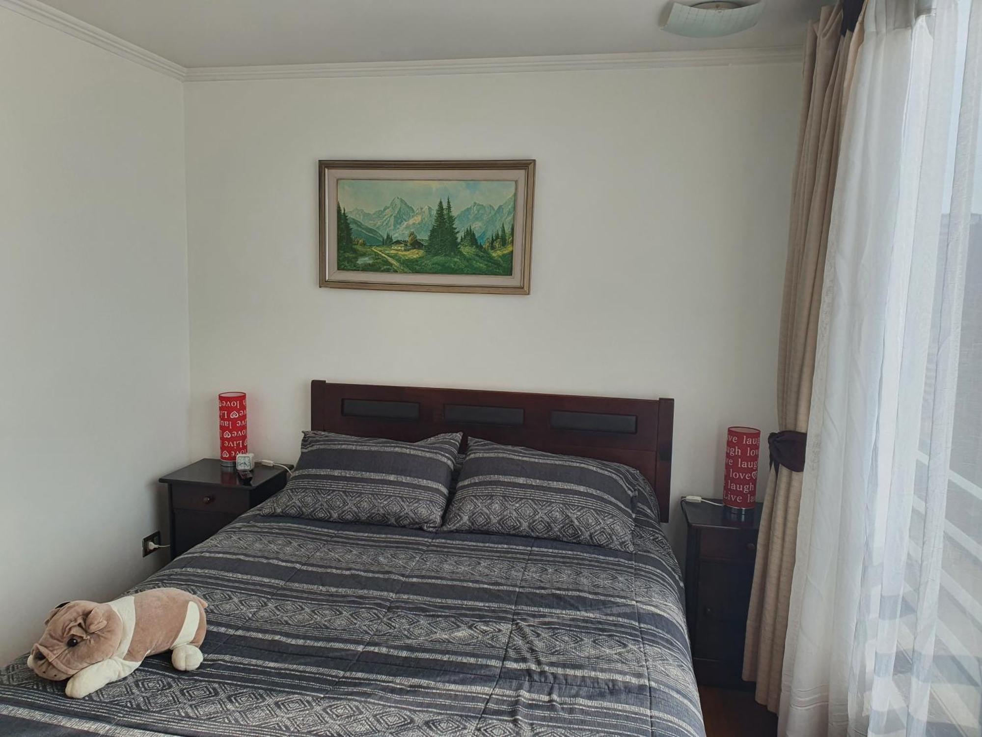 Metro Manuel Montt Apartment Santiago Ngoại thất bức ảnh