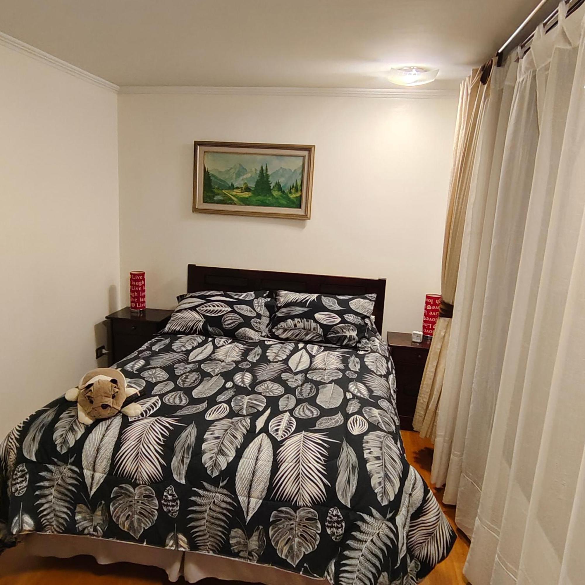 Metro Manuel Montt Apartment Santiago Ngoại thất bức ảnh